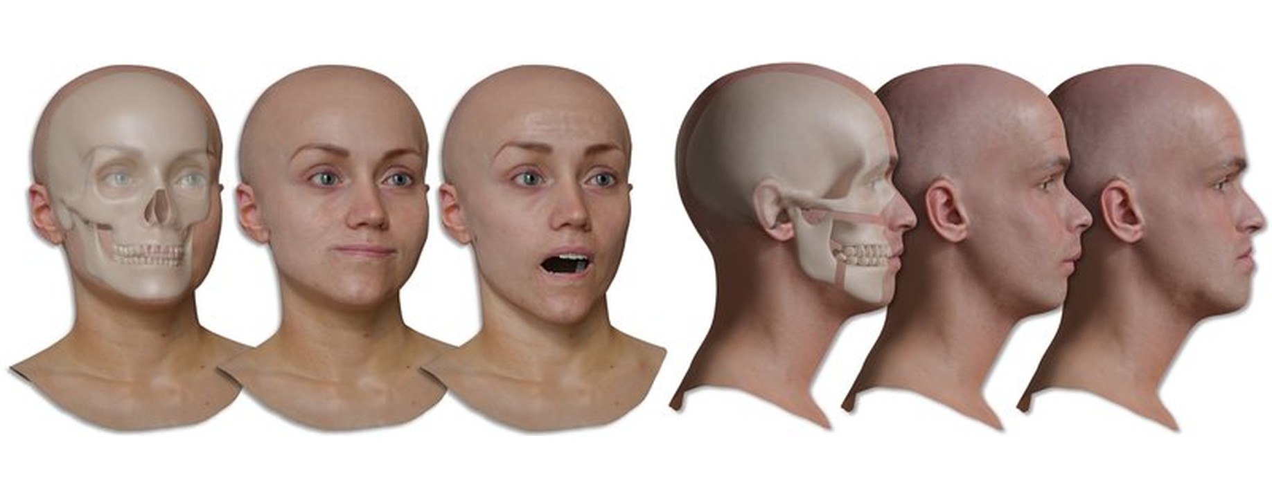 NeuRiPhy: Neural Baking of Physics-Based Deformations for Facial Rigs