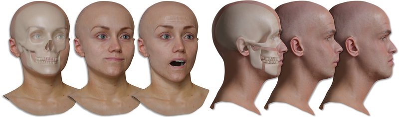 Neural Baking of Facial Physics